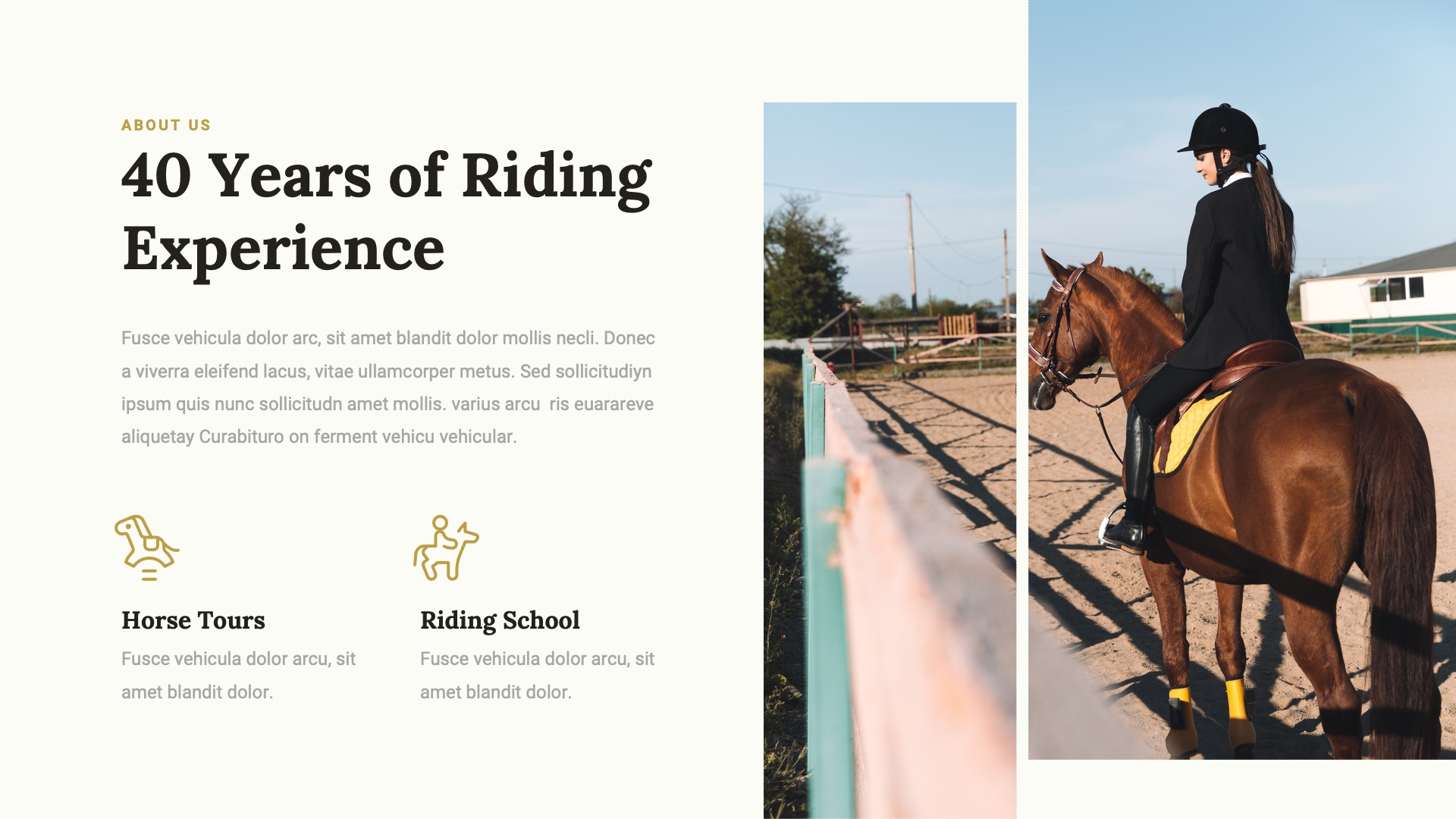 JARONE - Equestrian & Horse Riding Club Google Slides Template ...