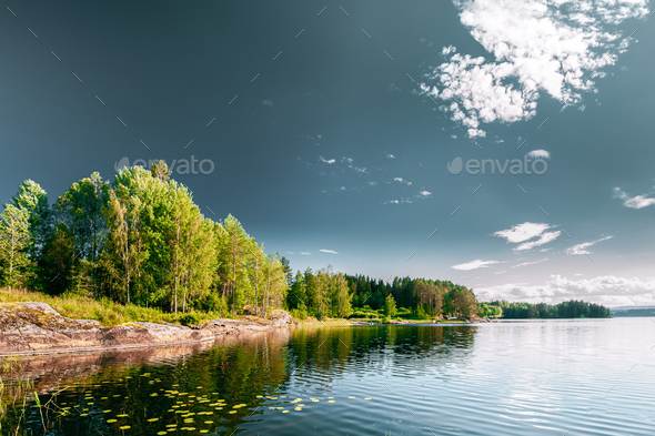 Nature. Sweden. Summer Lake Or River In Summer Sunny Day. Forest Growing On Stone Stock Photo by Grigory_bruev