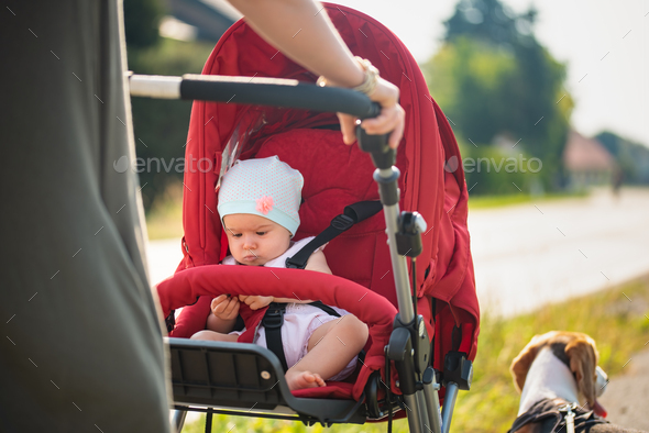 Baby girl sitting in stroller on a walk with mom and dog
