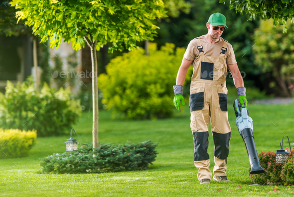 Gardener Blowing Leaves of the Lawn - Stock Photo - Images