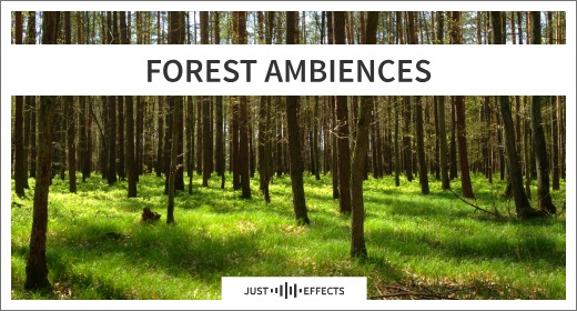 Forest Ambiences