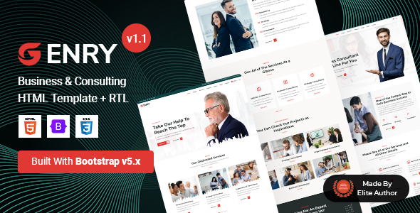 Enry - Business - ThemeForest 31020809