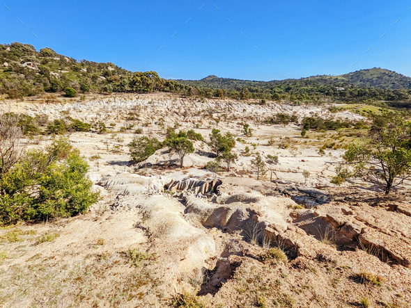 you yangs mountain bike trails