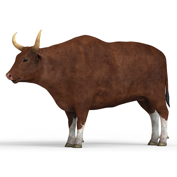 Bull With PBR - 3Docean 32567367