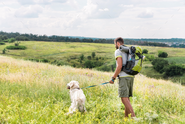 backpack for dog walking