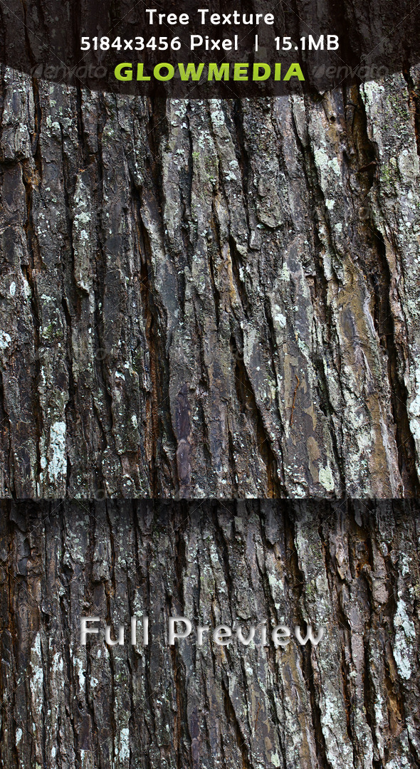 Tree Texture - Bark - Wood Textures