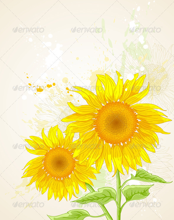 Floral Background with Sunflower - Flowers & Plants Nature