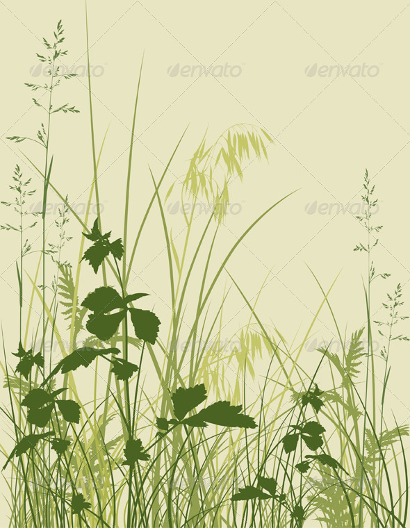 Green Grass - Flowers & Plants Nature