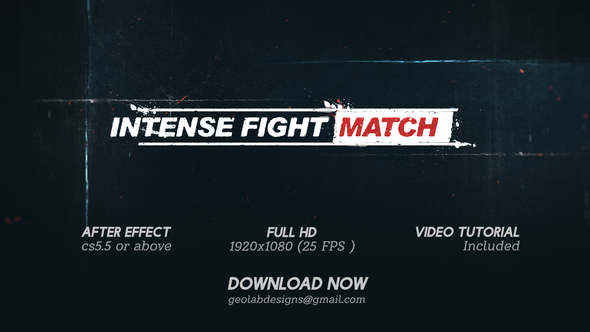 Intense Fights Match - VideoHive 32574430