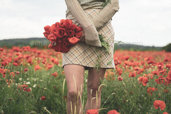 young woman holding a bouquet of poppies in a beautiful field - Stock Photo - Images