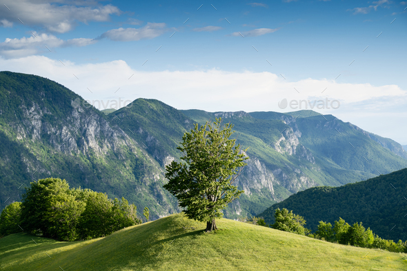 majestic beautiful mountain landscape scenery in Valea Cernei Romania - Stock Photo - Images