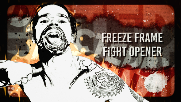 Freeze Frame Fight - VideoHive 32619150