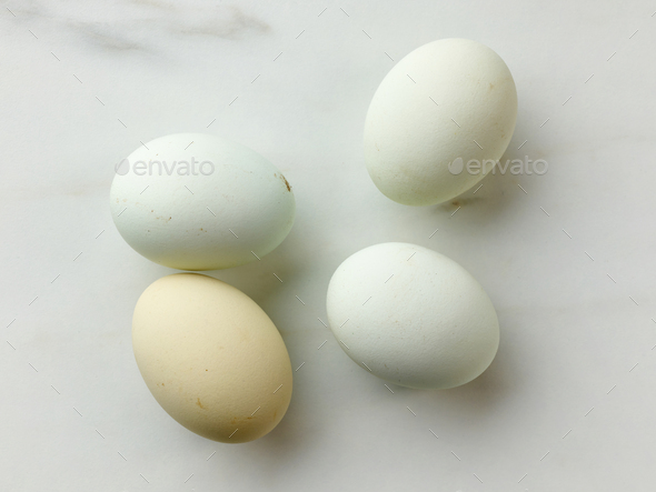 fresh raw bio eggs