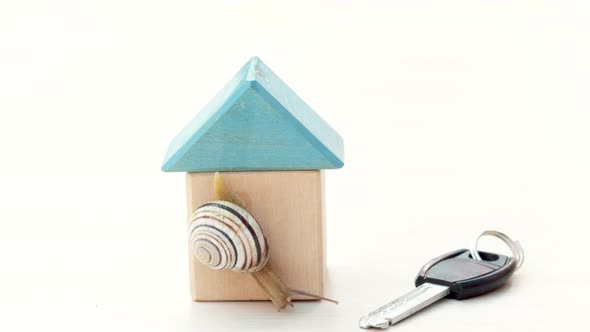 snail sliding on wooden cubby house shape isolated with keys from the door.buy rent or sell a house 