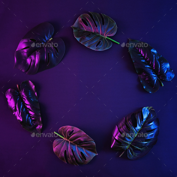 Botanical minimal concept in retro style. - Stock Photo - Images
