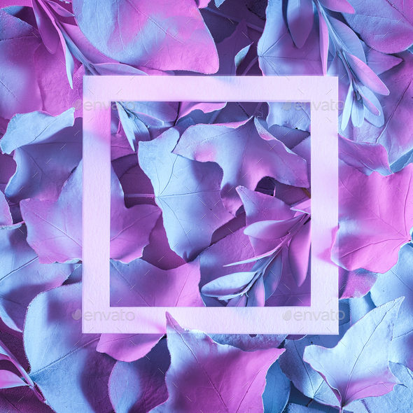 Natural leaves and white border in neon lighting. - Stock Photo - Images