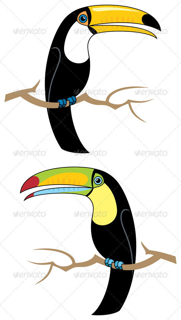 Toucans - Animals Characters