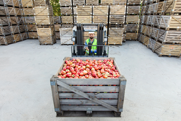 Modern production and industry, work at storage and sale of organic fruits - Stock Photo - Images