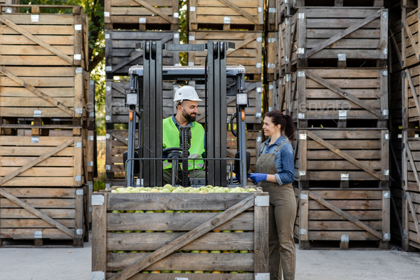 Happy young bearded guy driver in helmet in forklift truck with box full green apples - Stock Photo - Images