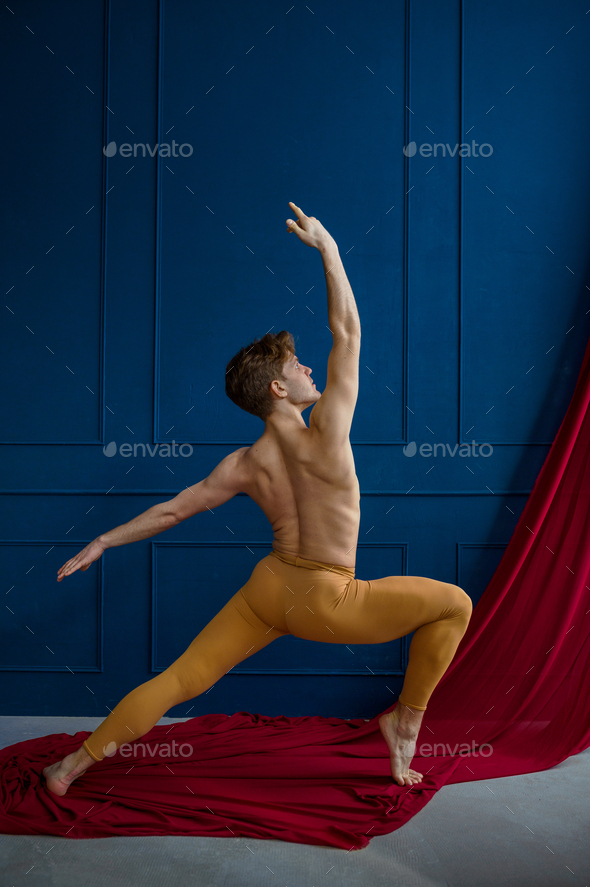 A male ballet dancer does a tendu to the rear Free Photo Download |  FreeImages