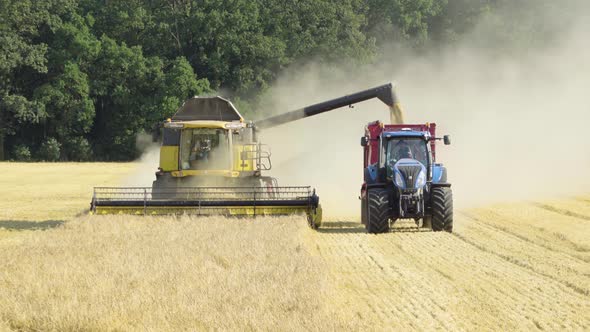 A Combine Harvester and a Tractor Drive, Combine Harvester Pours Grains Into the Tractor alt
