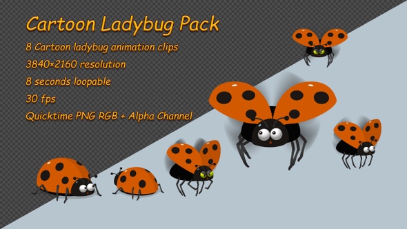 Cartoon Ladybug Pack