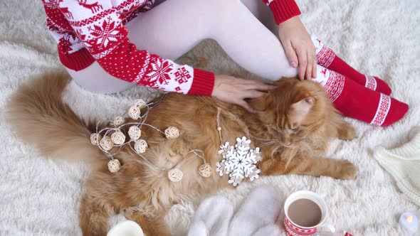 Girl Relaxing and Playing with Cat on Fluffy Floor Between Christmas Decorations. Christmas and New