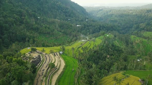 Aerial Video above Rice Terraces