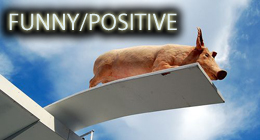 Funny/Positive