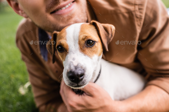 are jack russells cuddly dogs