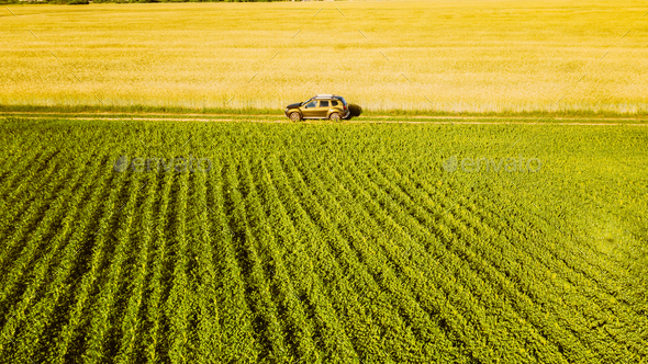 Aerial View Of Car SUV Parked Near Countryside Road In Spring Field Rural Landscape. Car Between - Stock Photo - Images