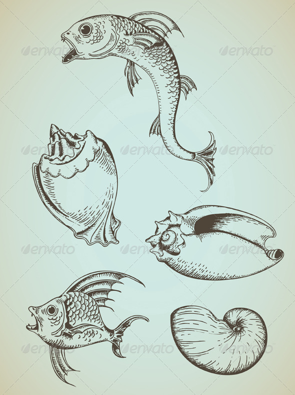 Vintage Sea Elements - Animals Characters