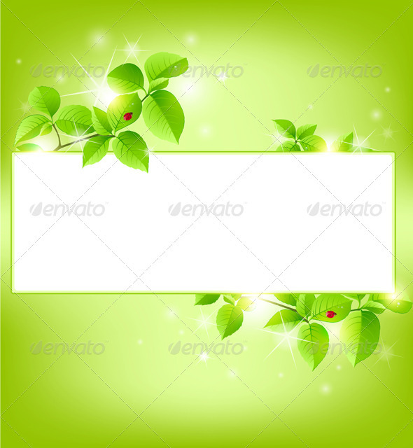 Green Banner - Backgrounds Decorative