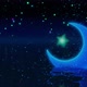 Crescent Moon And Star - VideoHive Item for Sale