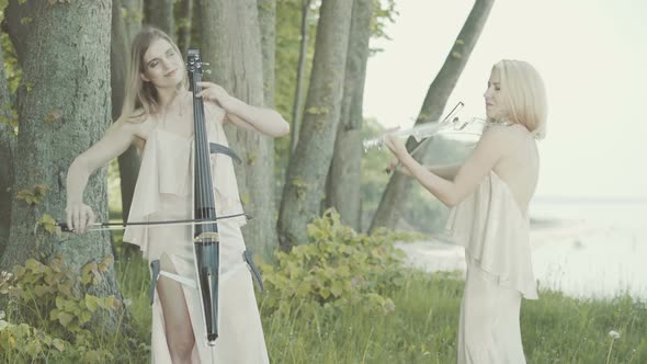 Two Beautiful Girls in Dresses Play the Violin and Cello Standing on the Edge of the Sea Cliff