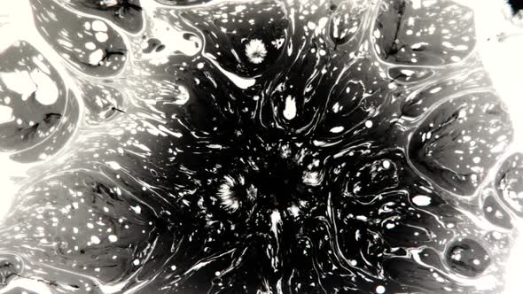 Drops Of Black Ink On White