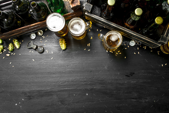 Beer background. Fresh beer and ingredients. - Stock Photo - Images