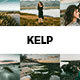20 Kelp Lightroom Presets & LUTs