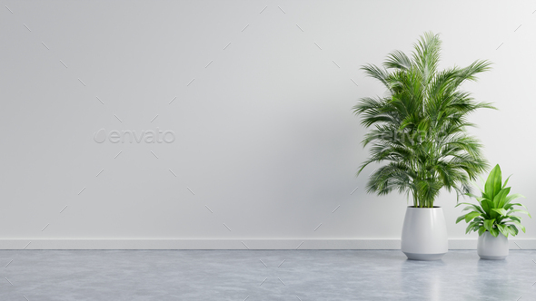 White wall empty room with plants on a floor. Stock Photo by vanitjan