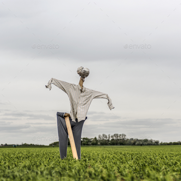 Scarecrow in a green field in a cloudy day - Stock Photo - Images