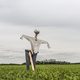 Scarecrow in a green field in a cloudy day - PhotoDune Item for Sale