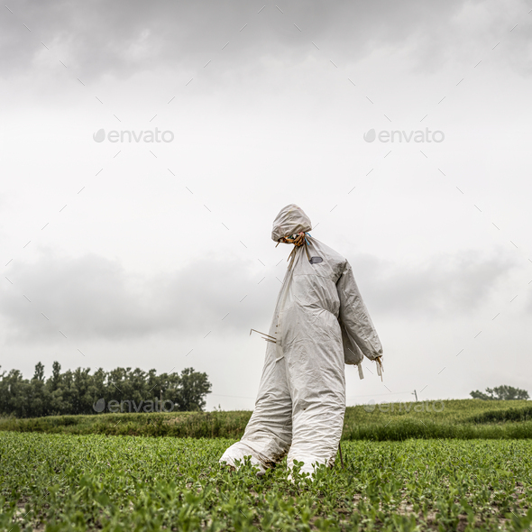 Scarecrow in a green field in a cloudy day - Stock Photo - Images