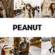 20 Peanut Lightroom Presets & LUTs