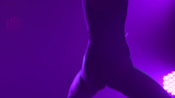 Silhouette of a Sexy Dancer Performing a Booty Dance Twerks Her Buttocks and Moving Her Hips alt