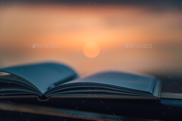 Cozy Evening with a Book - Stock Photo - Images