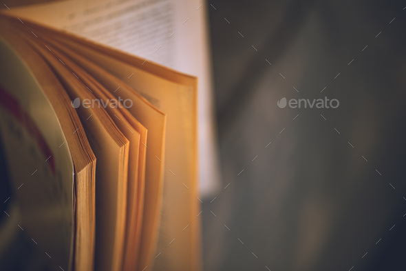 Reading Book at Home - Stock Photo - Images