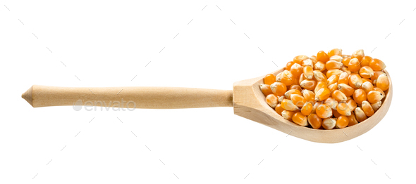 wooden spoon with raw maize corns isolated