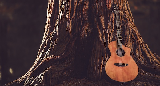 Beautiful Acoustic Guitars