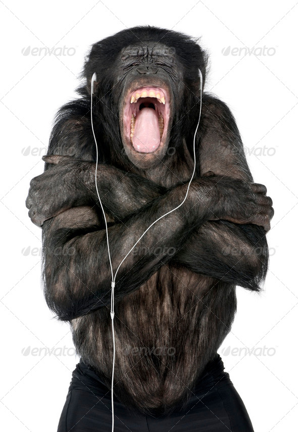 Monkey listening music - Stock Photo - Images
