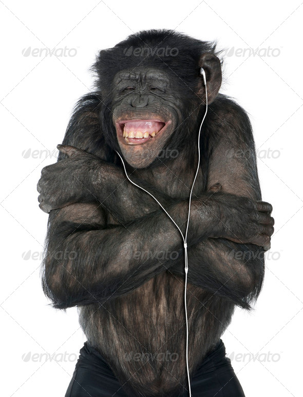 Monkey listening music - Stock Photo - Images
